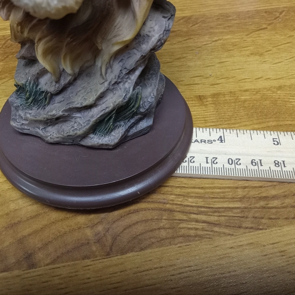 Southwestern Reflections Collection- Lion Vintage - Picture 6 of 9